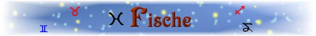 Banner Fisch